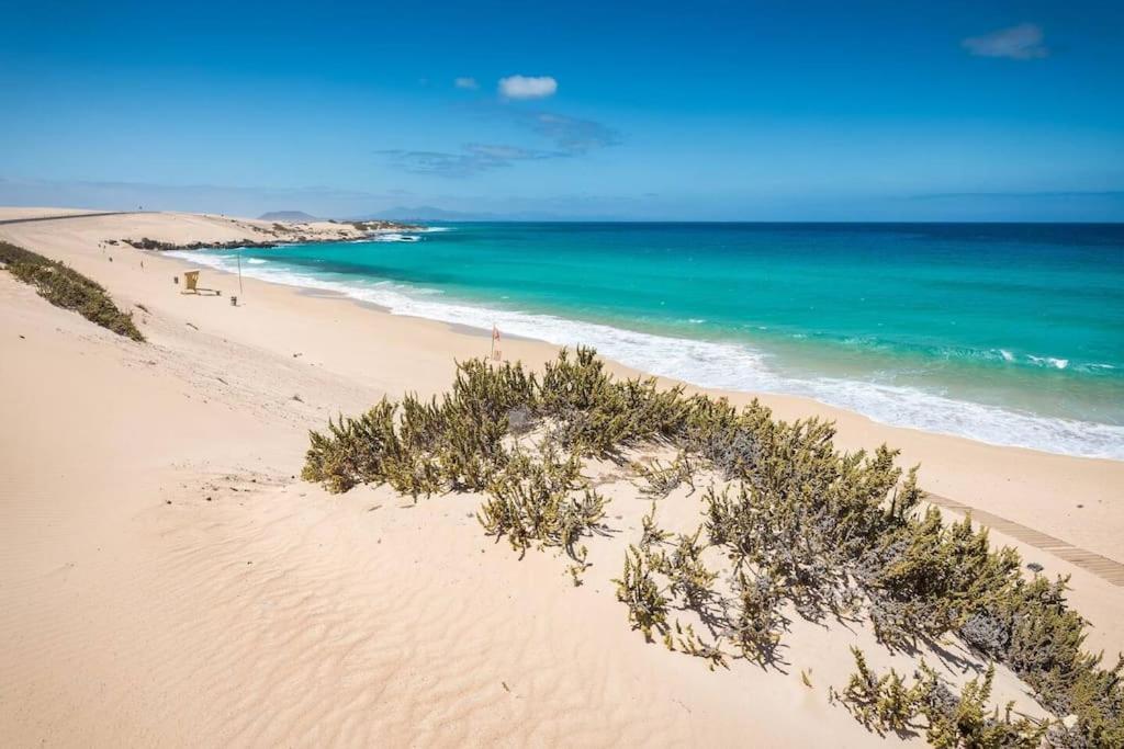 Apartmán B-Rent Alisios Playa Isla Bonita Corralejo Exteriér fotografie